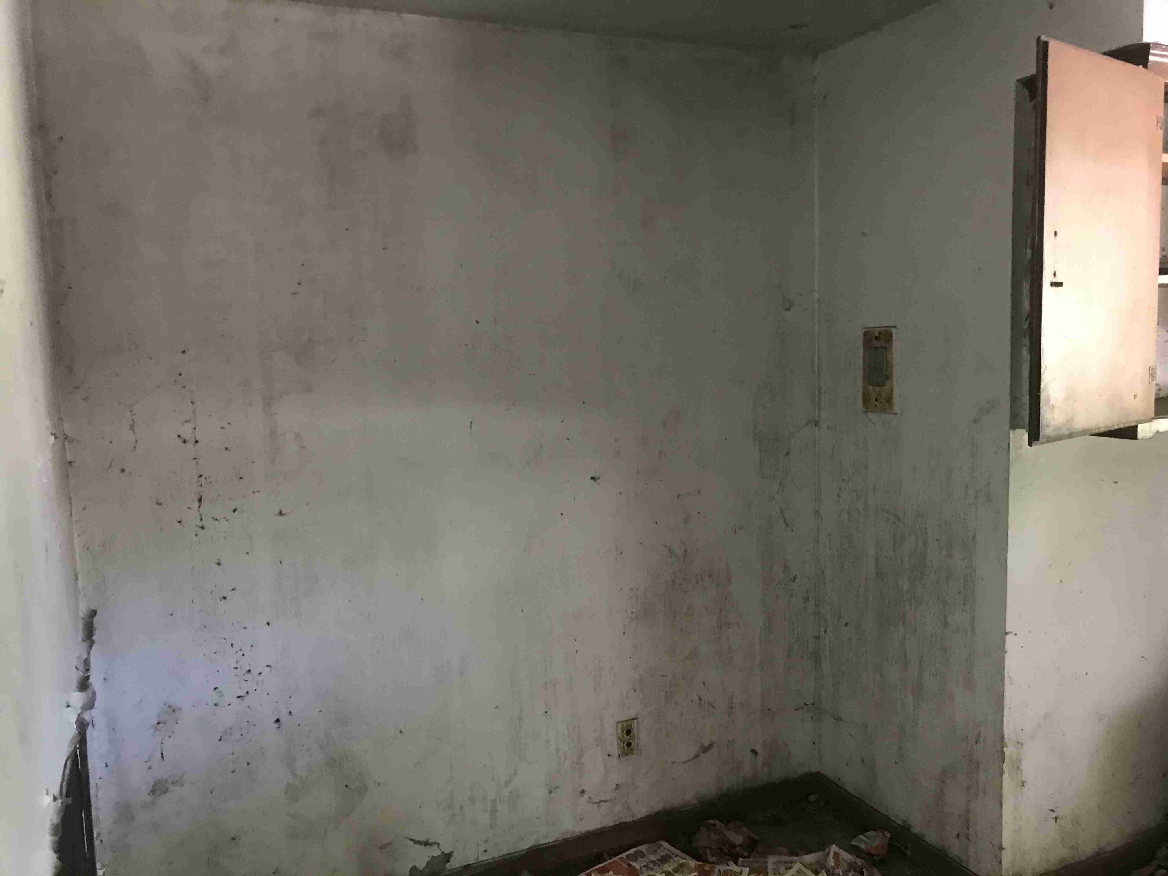 Photo Aug 20, 1 30 11 PM.jpg